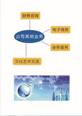 上海光謙企業管理咨詢 專業財務咨詢，賦能企業穩健發展